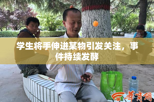 学生将手伸进某物引发关注，事件持续发酵