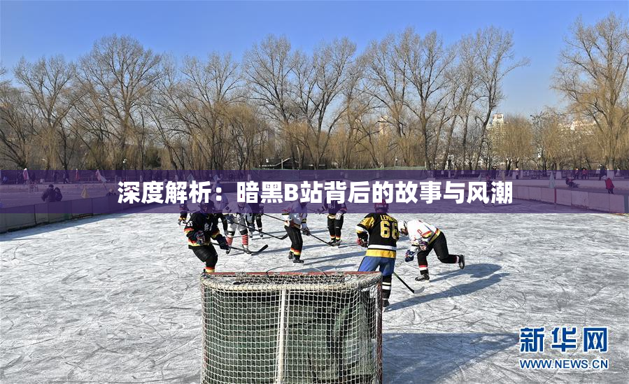 深度解析：暗黑B站背后的故事与风潮