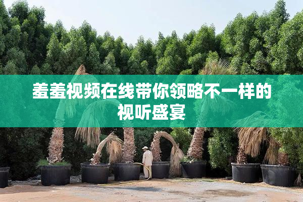 羞羞视频在线带你领略不一样的视听盛宴