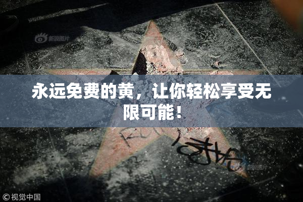 永远免费的黄，让你轻松享受无限可能！