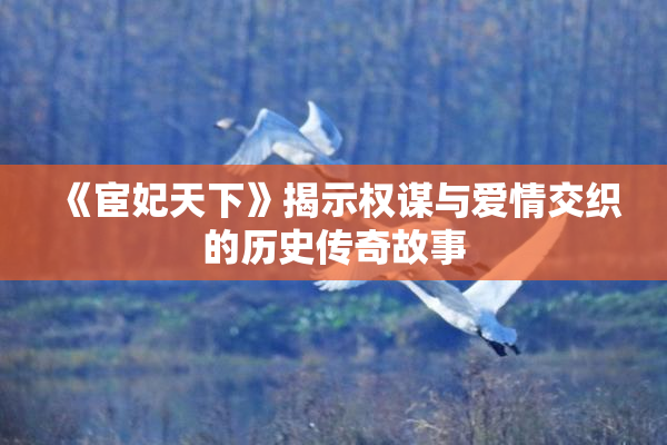 《宦妃天下》揭示权谋与爱情交织的历史传奇故事