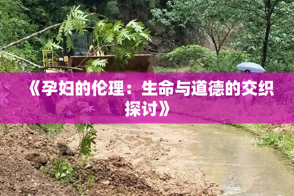 《孕妇的伦理：生命与道德的交织探讨》
