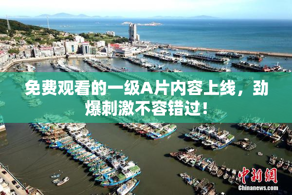 免费观看的一级A片内容上线，劲爆刺激不容错过！