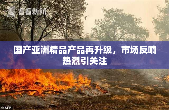 国产亚洲精品产品再升级，市场反响热烈引关注