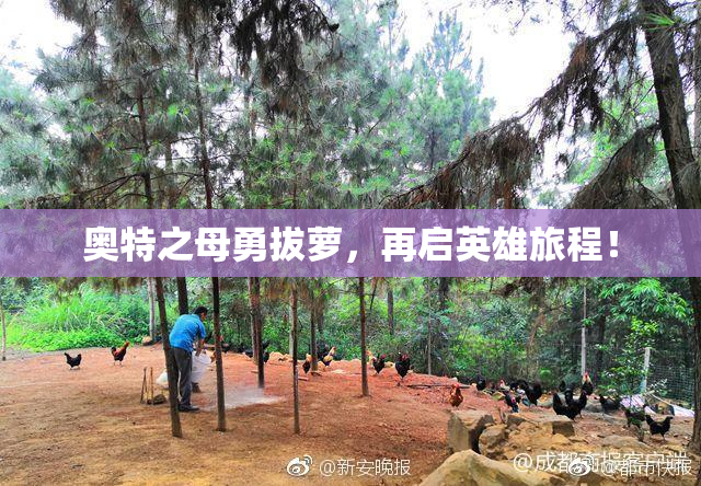 奥特之母勇拔萝，再启英雄旅程！
