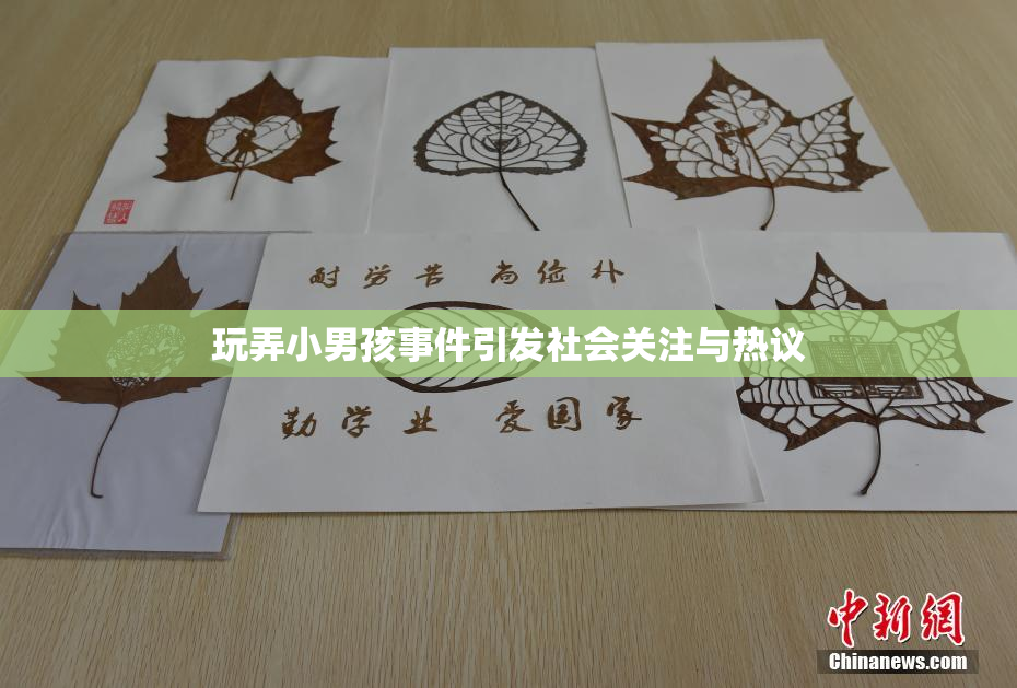 玩弄小男孩事件引发社会关注与热议