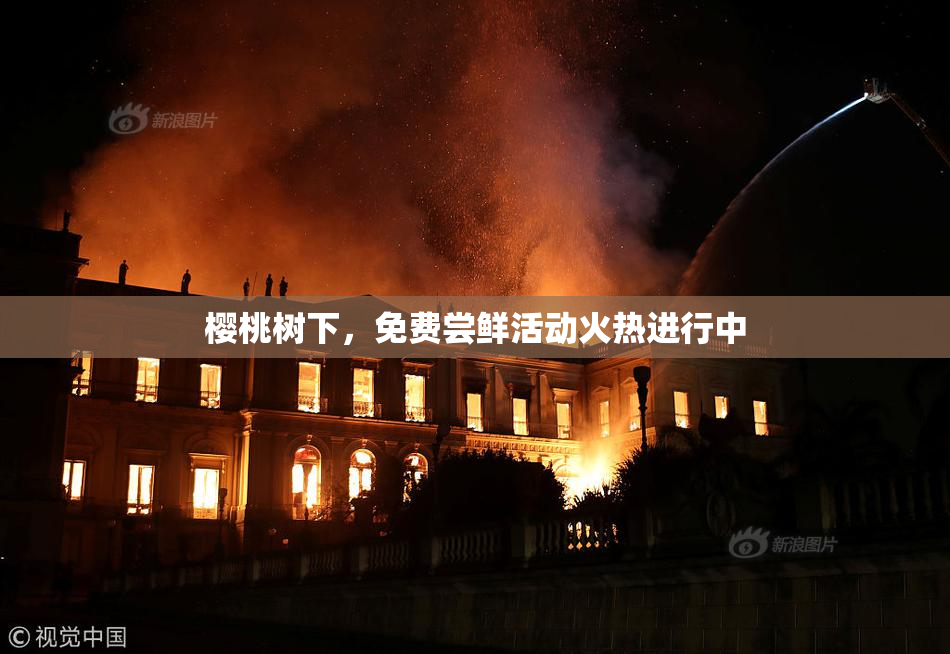 樱桃树下，免费尝鲜活动火热进行中