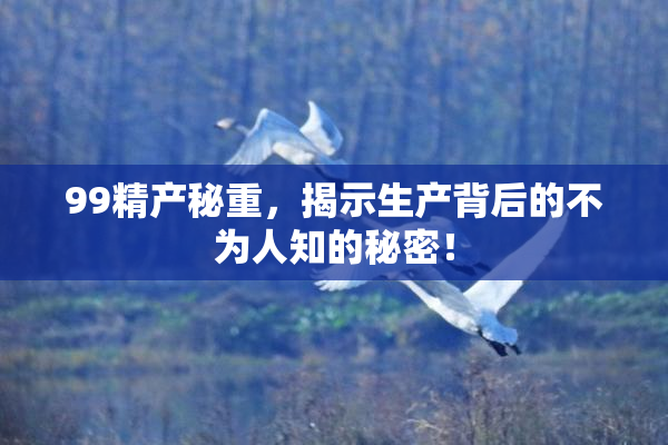 99精产秘重，揭示生产背后的不为人知的秘密！