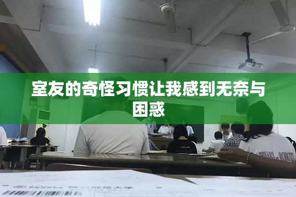 室友的奇怪习惯让我感到无奈与困惑