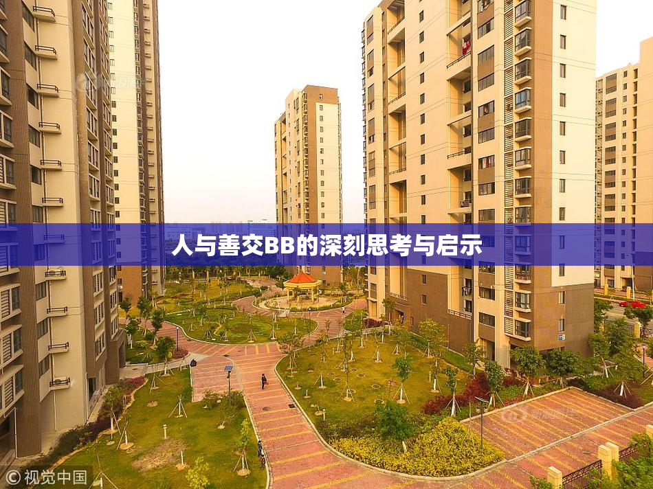人与善交BB的深刻思考与启示