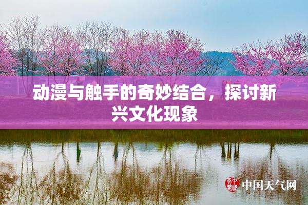 动漫与触手的奇妙结合，探讨新兴文化现象