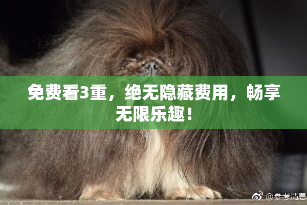 免费看3重，绝无隐藏费用，畅享无限乐趣！