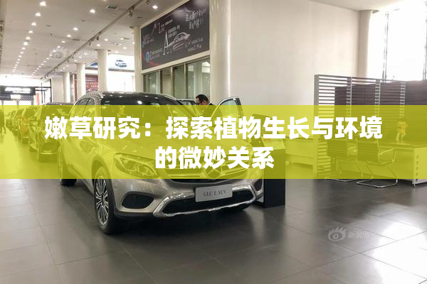 嫩草研究：探索植物生长与环境的微妙关系
