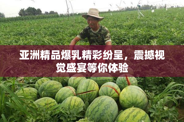 亚洲精品爆乳精彩纷呈，震撼视觉盛宴等你体验