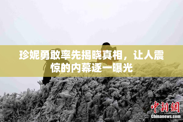 珍妮勇敢率先揭晓真相，让人震惊的内幕逐一曝光