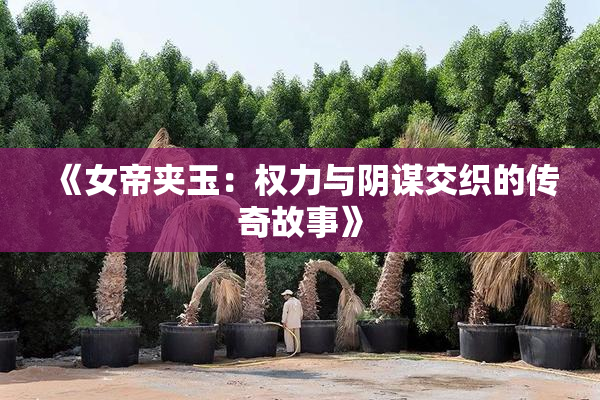 《女帝夹玉：权力与阴谋交织的传奇故事》