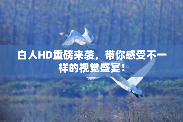白人HD重磅来袭，带你感受不一样的视觉盛宴！