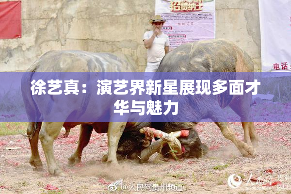 徐艺真：演艺界新星展现多面才华与魅力