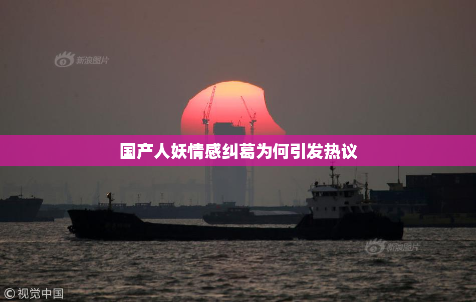 国产人妖情感纠葛为何引发热议