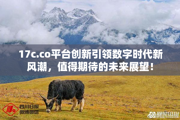 17c.co平台创新引领数字时代新风潮，值得期待的未来展望！