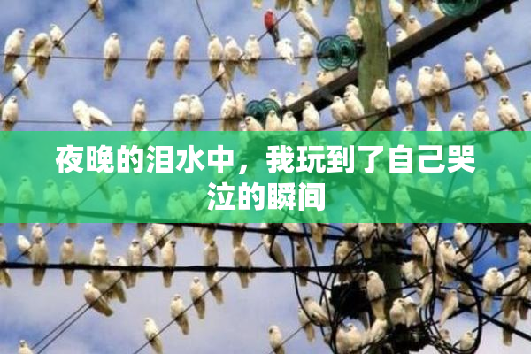 夜晚的泪水中，我玩到了自己哭泣的瞬间