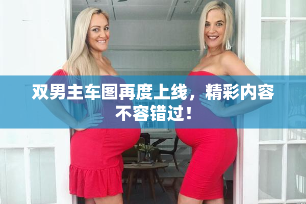 双男主车图再度上线，精彩内容不容错过！