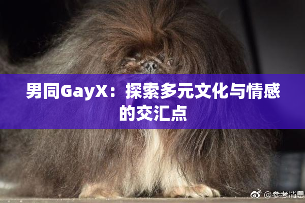 男同GayX：探索多元文化与情感的交汇点