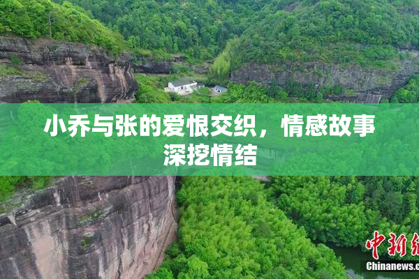 小乔与张的爱恨交织，情感故事深挖情结
