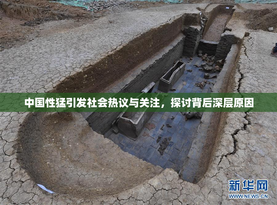 中国性猛引发社会热议与关注，探讨背后深层原因