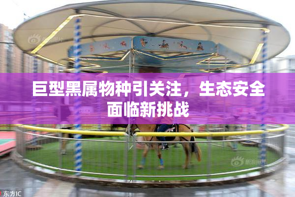 巨型黑属物种引关注，生态安全面临新挑战