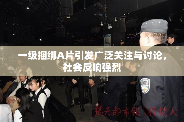 一级捆绑A片引发广泛关注与讨论，社会反响强烈