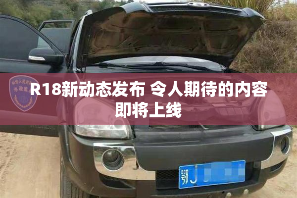 R18新动态发布 令人期待的内容即将上线