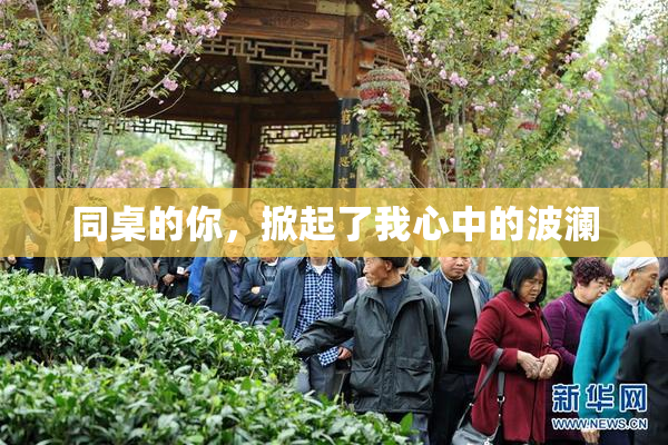 同桌的你，掀起了我心中的波澜