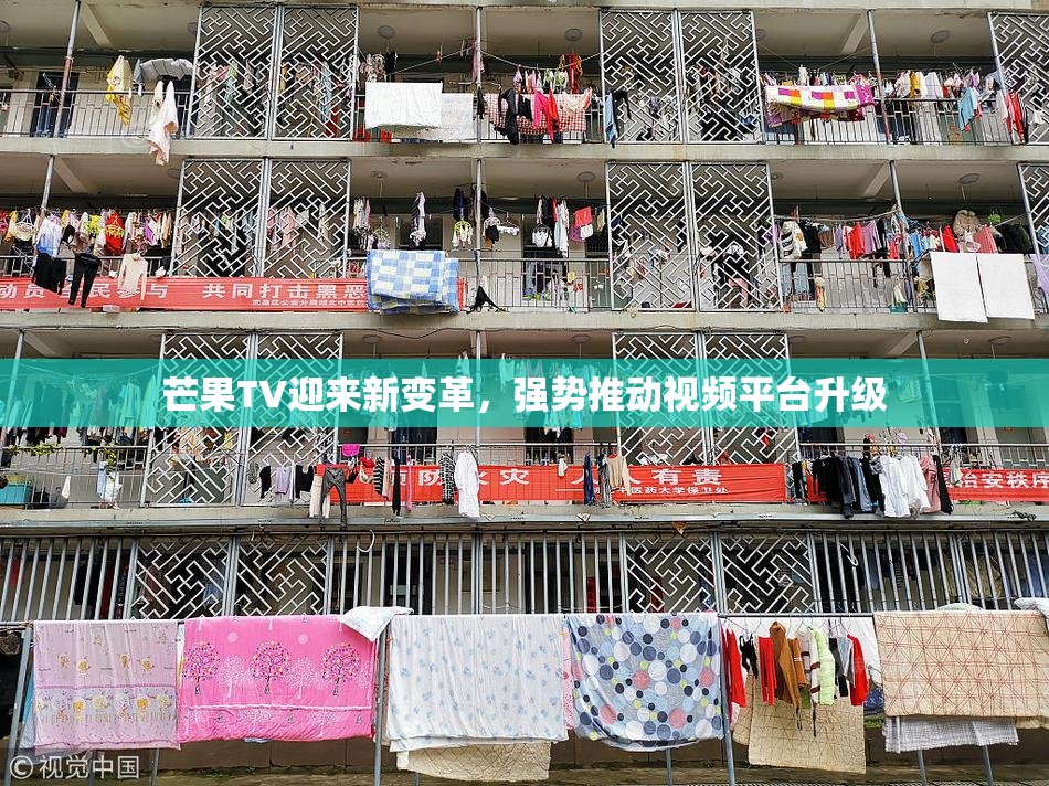 芒果TV迎来新变革，强势推动视频平台升级