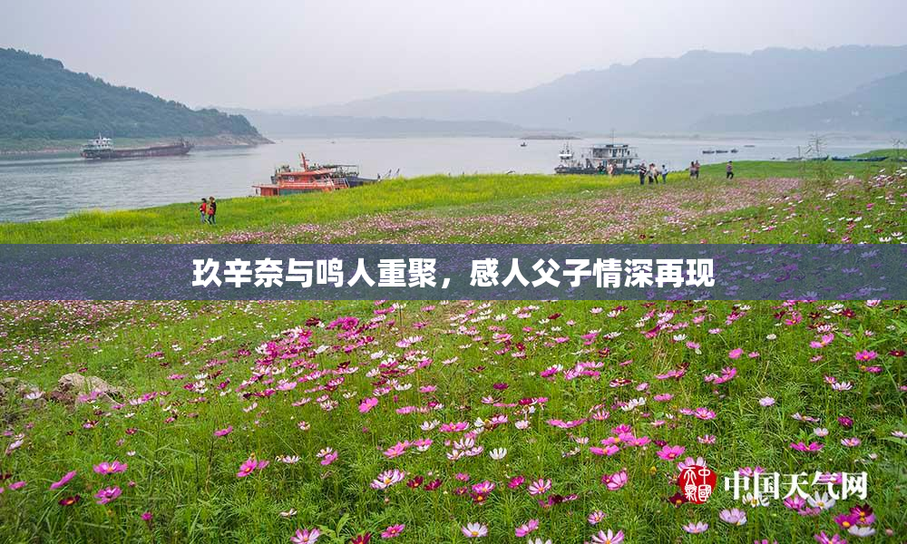 玖辛奈与鸣人重聚，感人父子情深再现