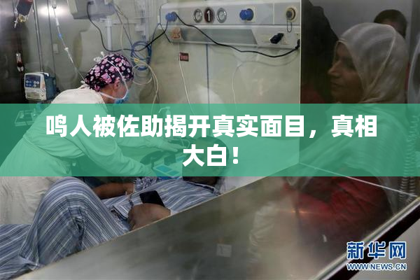 鸣人被佐助揭开真实面目，真相大白！