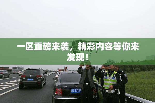 一区重磅来袭，精彩内容等你来发现！