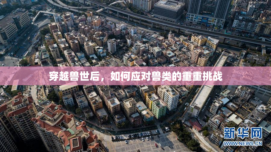 穿越兽世后，如何应对兽类的重重挑战