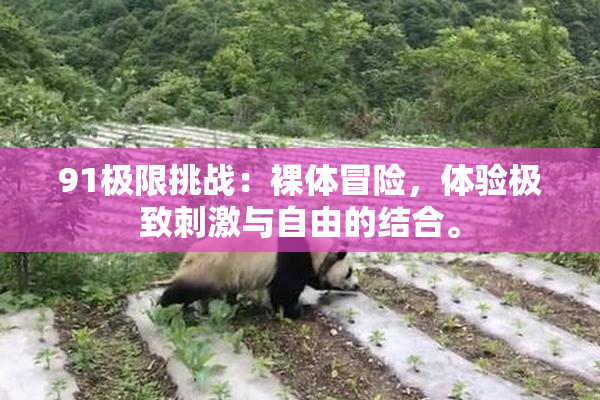 91极限挑战：裸体冒险，体验极致刺激与自由的结合。