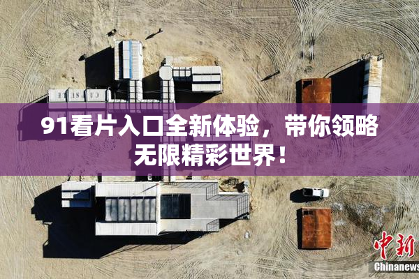 91看片入口全新体验，带你领略无限精彩世界！