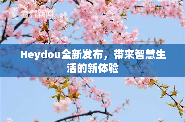 Heydou全新发布，带来智慧生活的新体验