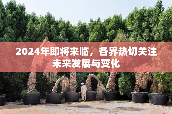 2024年即将来临，各界热切关注未来发展与变化
