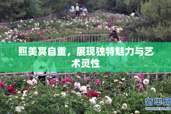 照美冥自重，展现独特魅力与艺术灵性