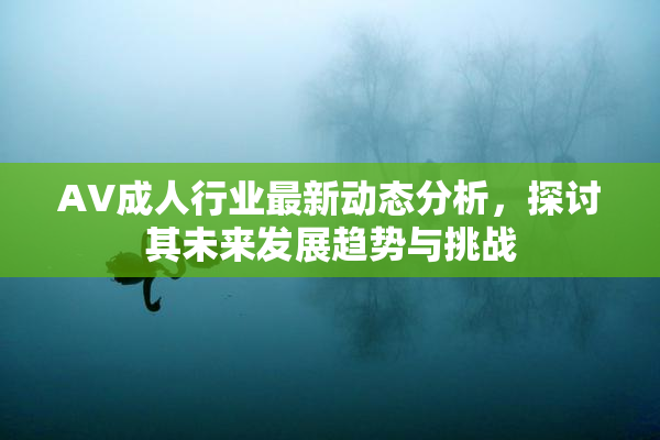 AV成人行业最新动态分析，探讨其未来发展趋势与挑战