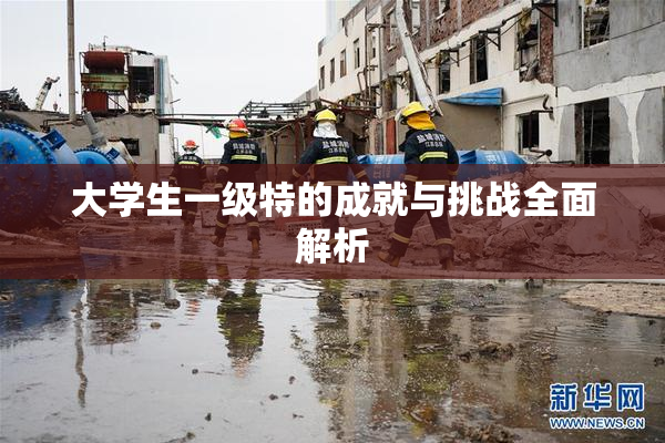 大学生一级特的成就与挑战全面解析