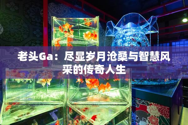 老头Ga：尽显岁月沧桑与智慧风采的传奇人生