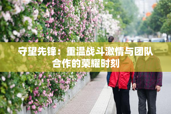 守望先锋：重温战斗激情与团队合作的荣耀时刻
