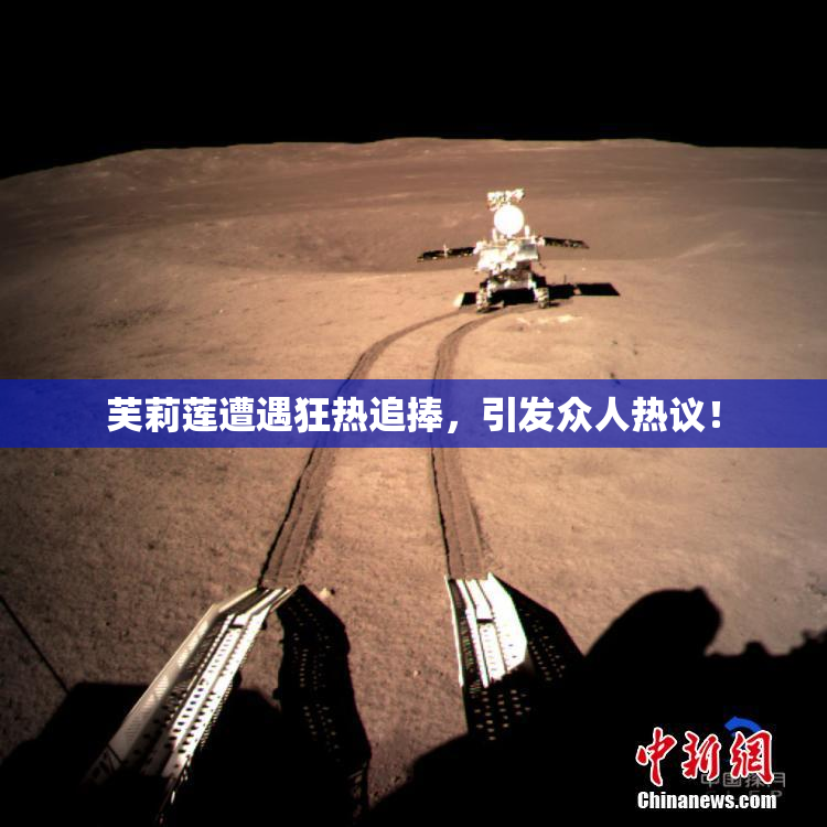 芙莉莲遭遇狂热追捧，引发众人热议！