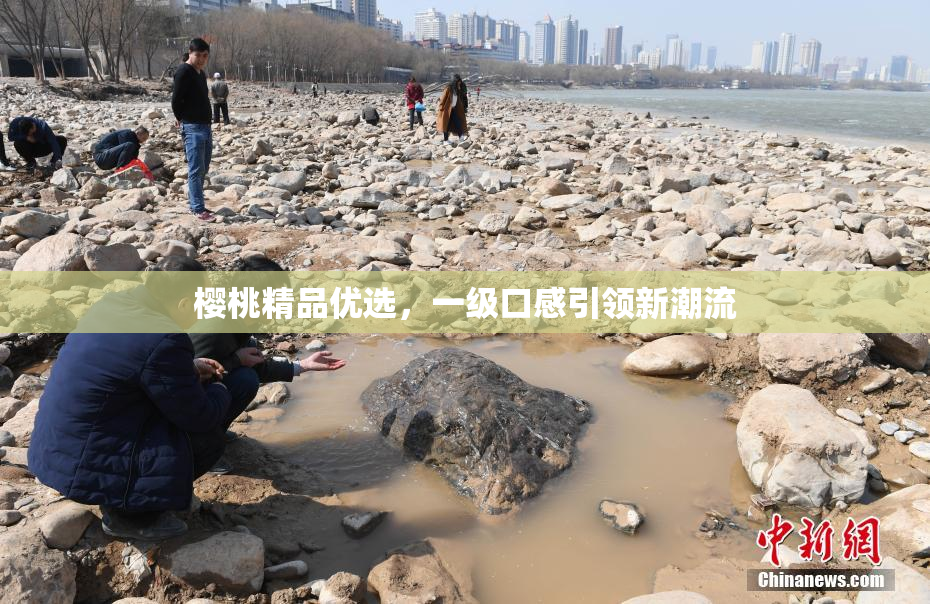 樱桃精品优选，一级口感引领新潮流