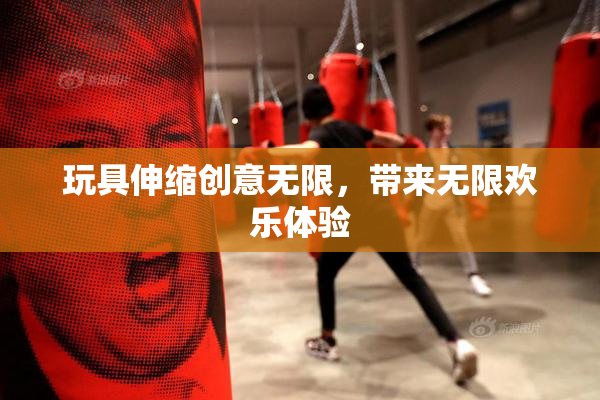 玩具伸缩创意无限，带来无限欢乐体验